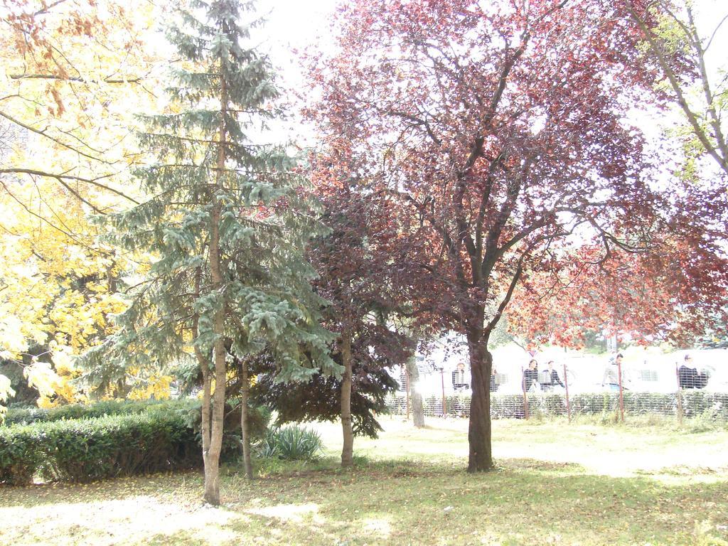 Central City Ap Sibiu Eksteriør bilde